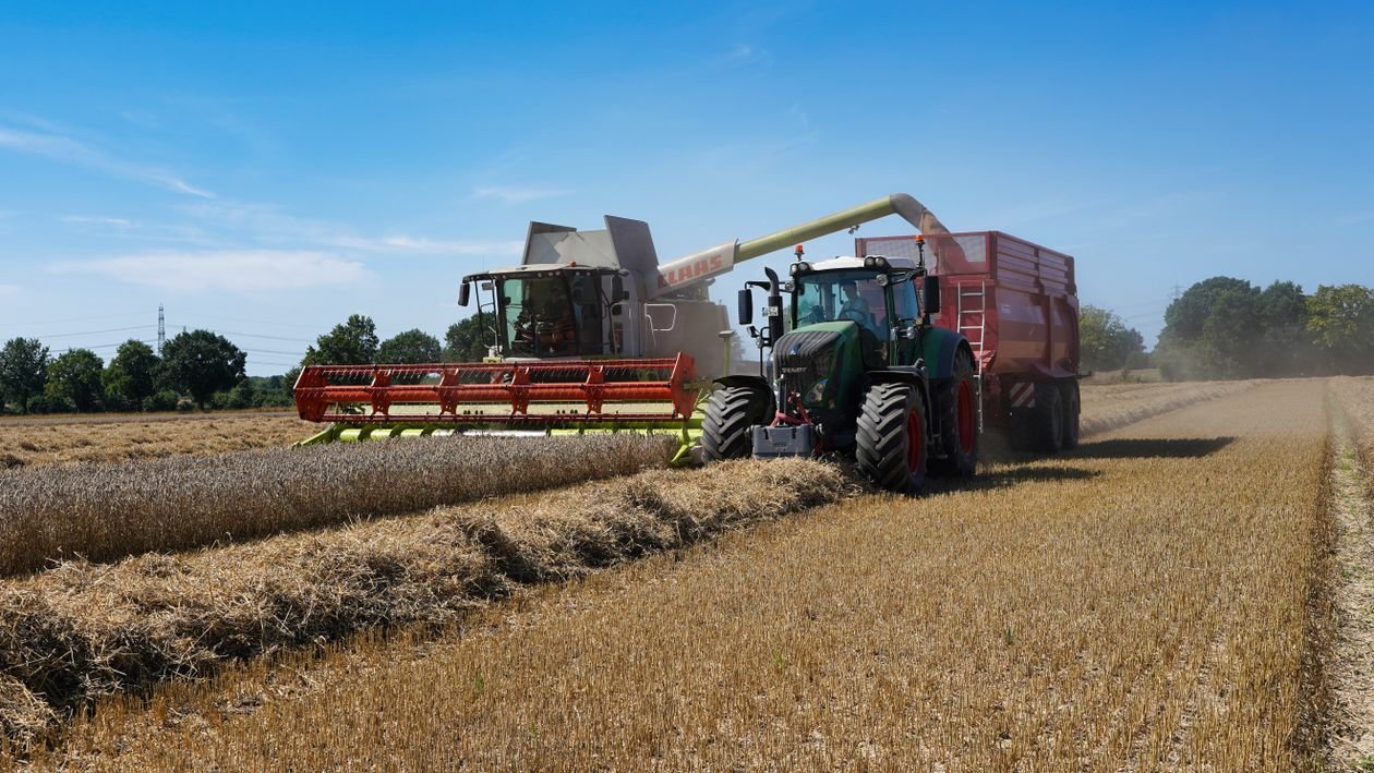 A combine harvester unloads grain into a tractor pulled cart while working through a golden wheat field under a blue sky.