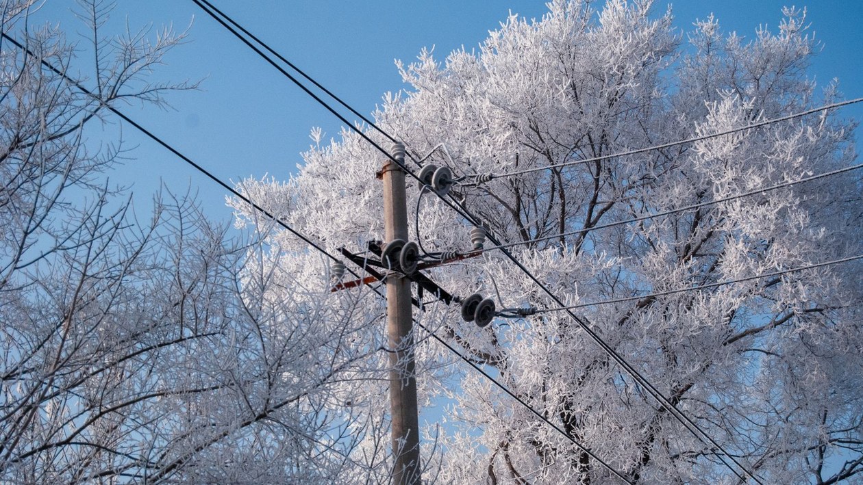 A utility pole and power lines run through trees coated in white frost under a clear blue winter sky.
